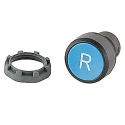 ABB KPR1-101L Blue Flush Reset Pushbutton Without Shaft and R Button Text