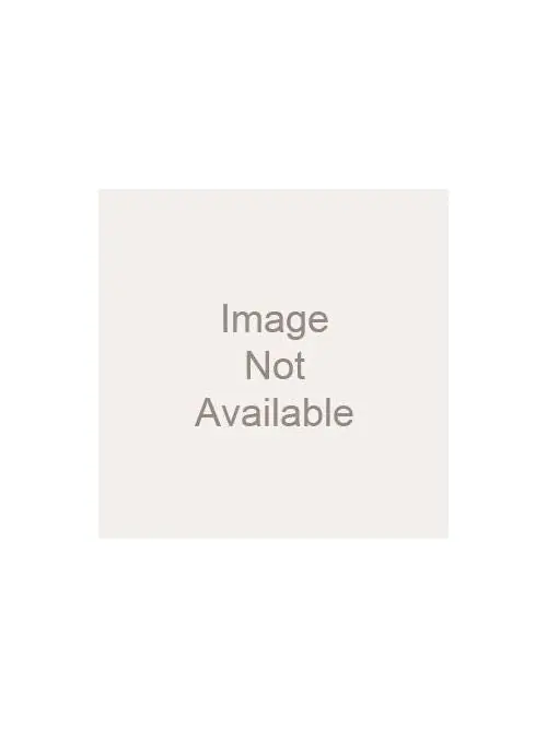 Lithonia Lighting L2GT82 A12 Troffer Lens