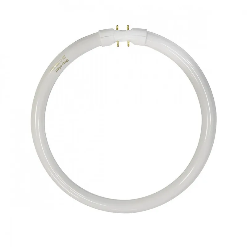 Sylvania FPC22/830/20702 22 W 3000 K T5 Circular Fluorescent Lamp
