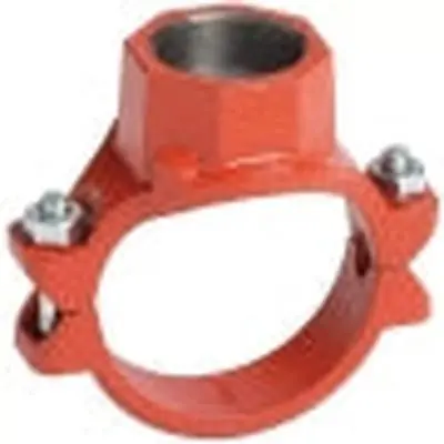 Victaulic CF32920PE0 Mechanical-T Coupling 8 in 2-1/2 in FPT Bolted Branch Outlet