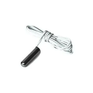 Schneider Electric ETBPK0 1000 Ohm 1 in. Bullet Probe Sensor