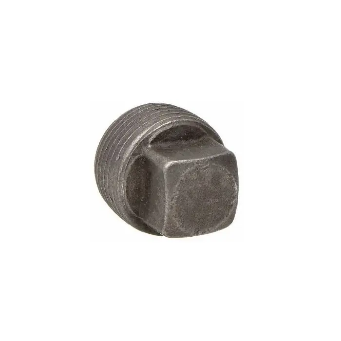 Anvil 0361301609 Square Head Plug: Forged Steel, 1 1/2 in Pipe Size, Male NPT, Class 6000