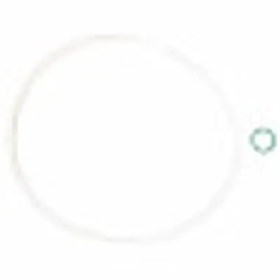 Viessmann 7818117 Burner Gasket WB2A-24/32