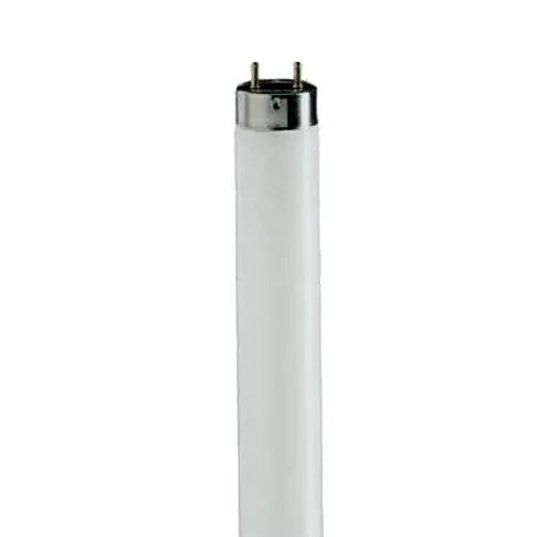 Sylvania FO32841XPXLECO3/21577 32 W 4100 K T8 Fluorescent Lamp