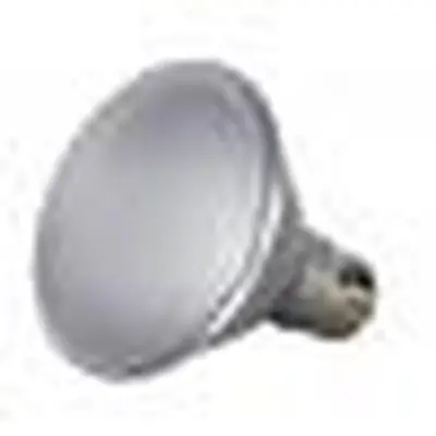SATCO S9419 Light 13w Par30 Short Neck Led 5000k 40 deg. Beam Spread Medium Base 120v