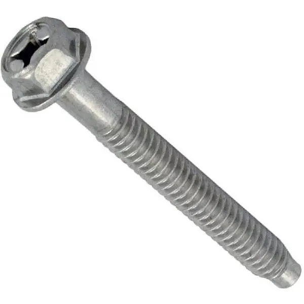 Pentair 79112000Z Bolt, Pentair Amerlite, 1/4-20 x 2.5-3/8, Pan Head, Washer