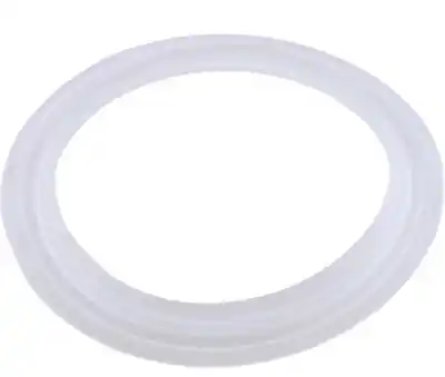 Balboa Water Group 959000 Gasket, L, Cyclone Micro Jet