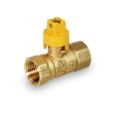 Everflow S4501 Gas Ball Valve with Screwdriver Slot FIP X FIP
