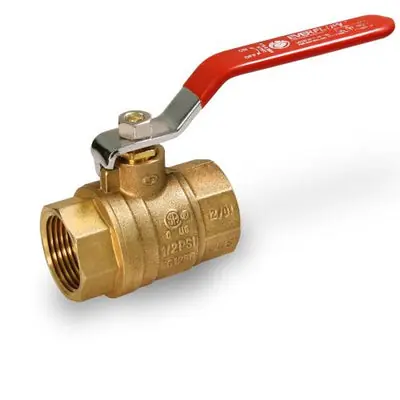Everflow 300T012