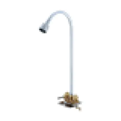 Pioneer 0477 Two Handle Utility Shower in Rough Brass