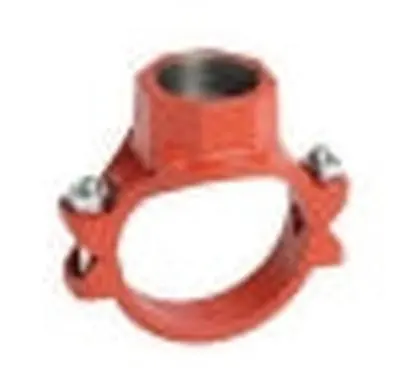 Victaulic CE6192NPT0 920N Bolted Branch Outlet With Gasket, 6 x 2 Nominal, 500 psi