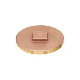 Everflow COPR112 Brass Raised Head Clean Out Plug, 1-1/2