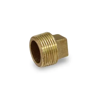 Everflow BRPL0100-NL 1 Plug Cored Brass Lead Free