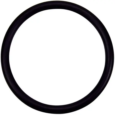 PacFab/Pentair 274494Z O-Ring Valve Adpt