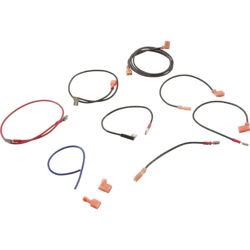 Raypak 004012F WIRE HARNESS MV VERSA 155A