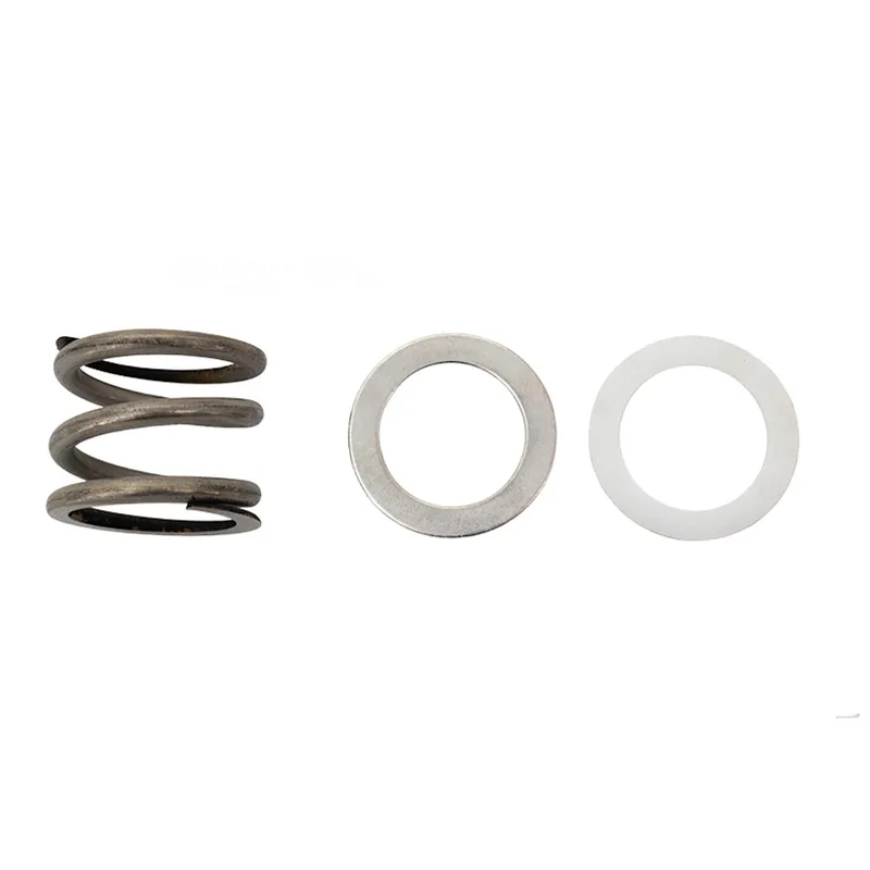 Astral Products 4404120005 Spring Washer Kit Multiport Valve
