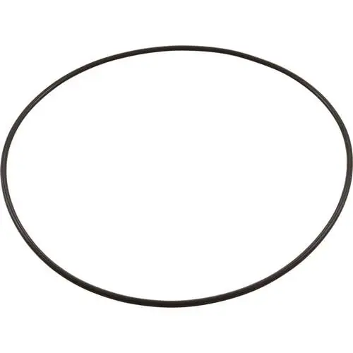 Zodiac Pool Systems 1-13-39 O-Ring Lg for Clear Lid Leaftrapper
