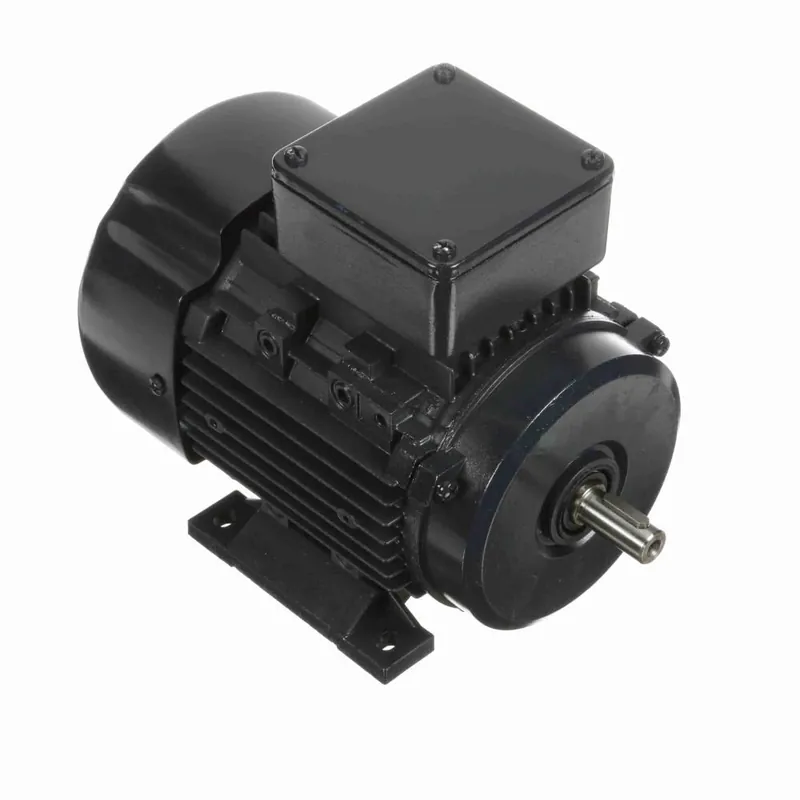 Marathon MR406 IEC Motor
