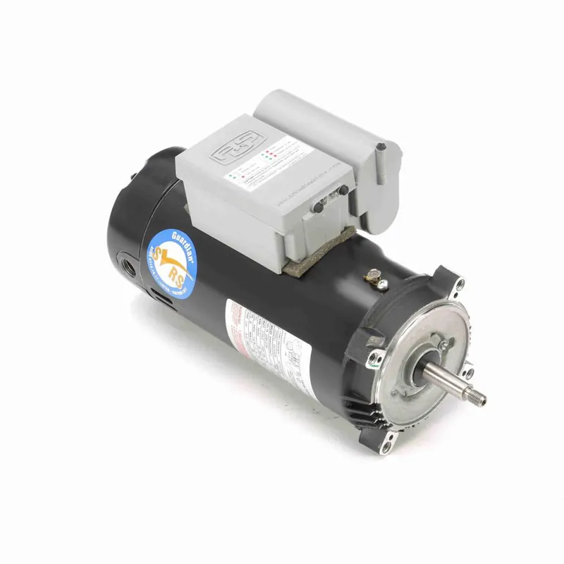Century STG1202A Pool and Spa Motor