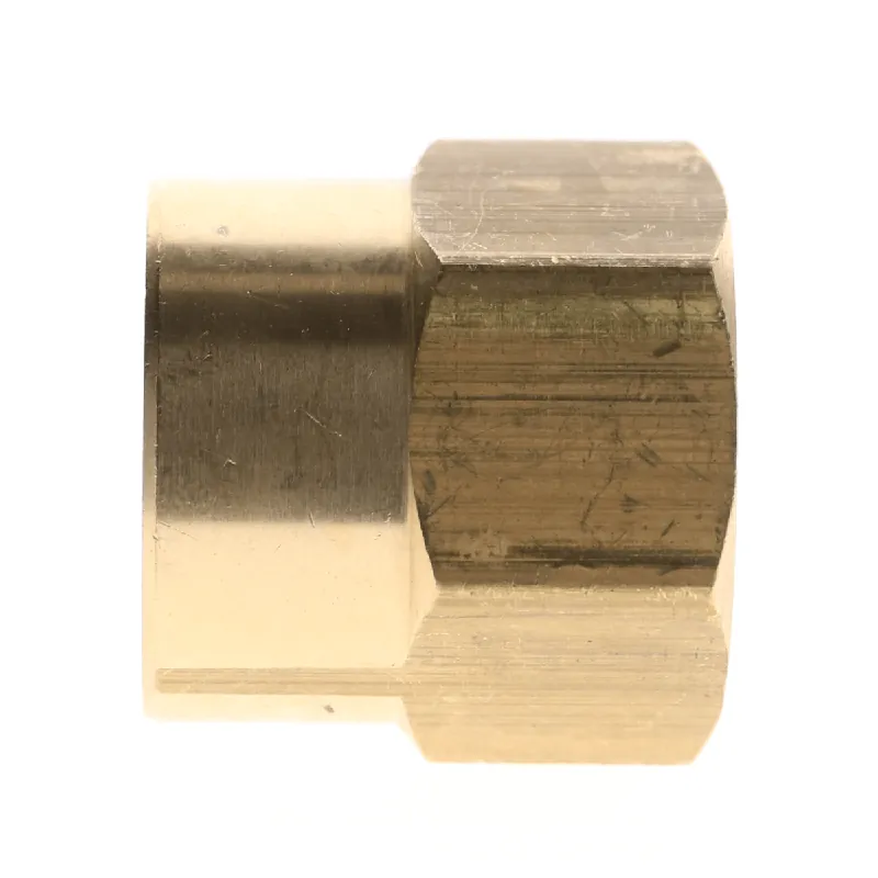 Pasco 2148 3/4 FHT x 3/4 FIP Hose Adapter