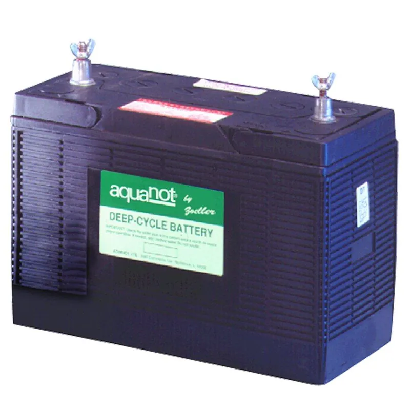 Zoeller 10-0761 Aquanot 12V Plastic Wet Cell Battery