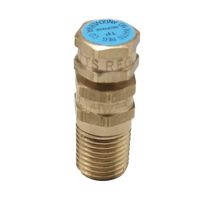 Watts 0123012 1/4 LFTP-N Temperature Pressure Test Plug