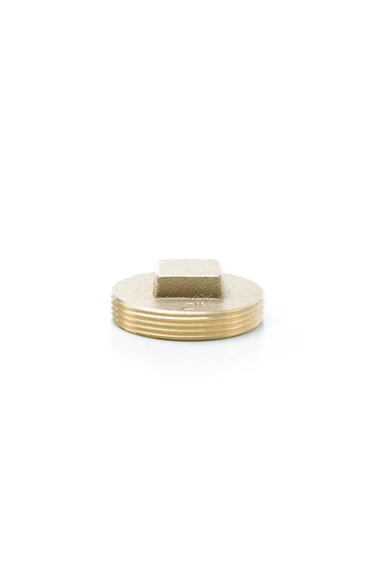 Pasco 1847 2 SO CD Brass Clean Out Plug - RH