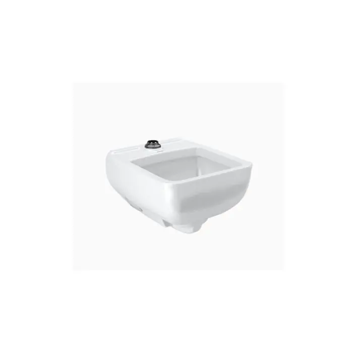 Sloan 3873200 Ss3200 Wall Hung Healthcare Service Sink Wash Sink