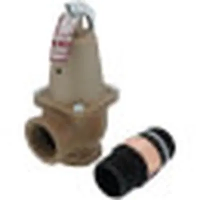 Watts F382570 1 740 030 FS Valve 20 psi