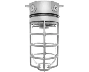 RAB LIGHTING VX100DG LED Light Fixture