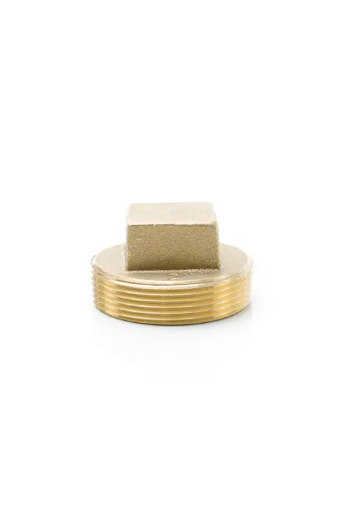 PASCO 1859 2UPC BR.CO PLUG, RH