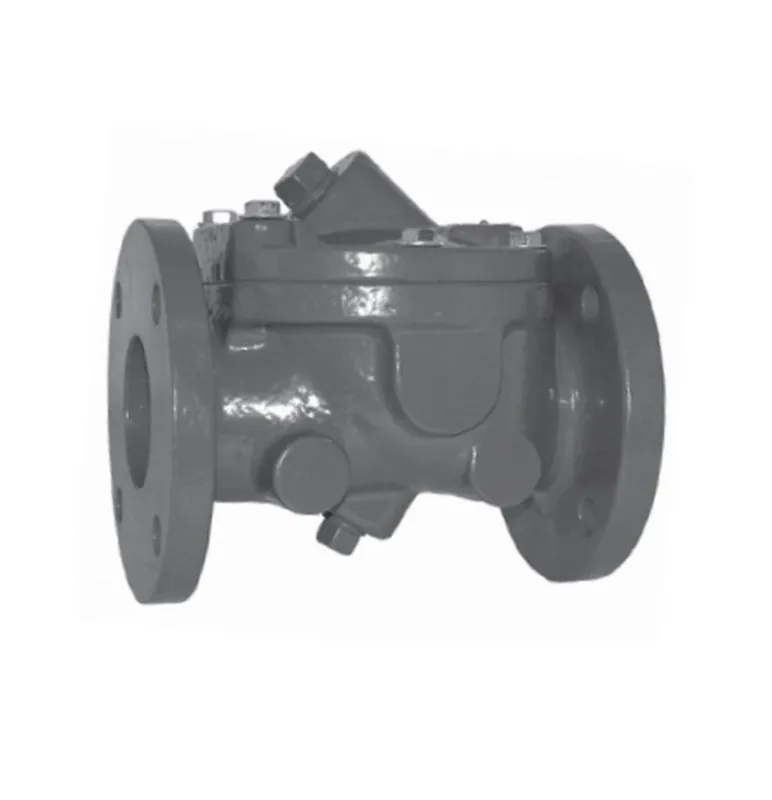Zoeller 6030-0203 4 in. Flanged Ductile Iron Check Valve