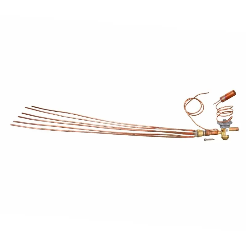 Rheem 61-42662-20 Expansion Valve (TXV)