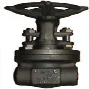 Vogt 12111SW2 Gate Valve Class 800 2 In Socket Weld