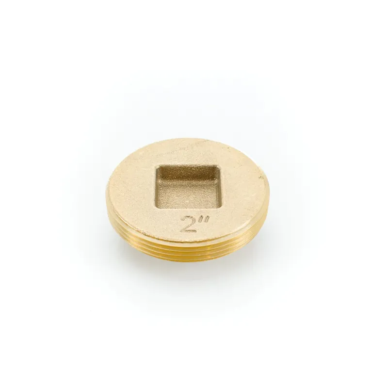 Pasco 1853 2 SO.CD.BR.CO. PLUG CS