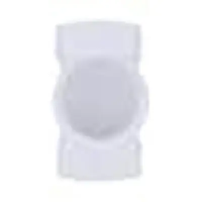 Charlotte Pipe 004452050 12 PVC DWV Flush Cleanout Tee L/Plug
