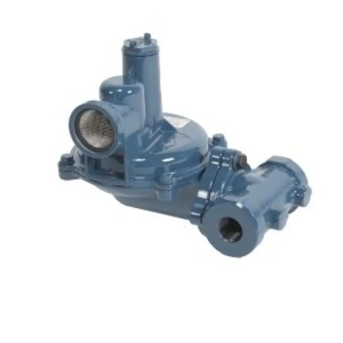 Norgas NGR02-CCA Gas Pressure Regulator 1 in. NPT