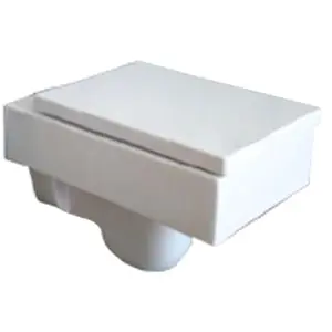 Ceramica Catalano 1VSVE00 Toilet 53 Wall Hung L/Seat