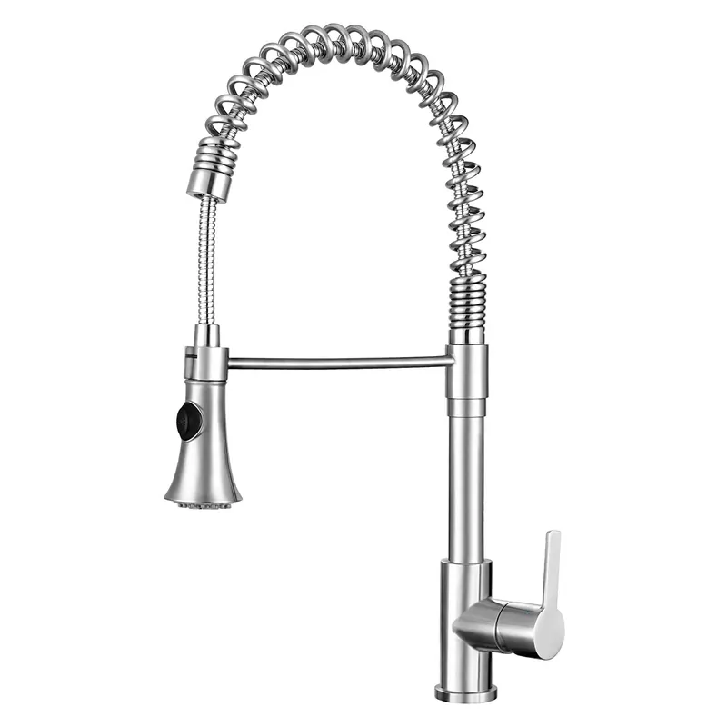 Franke FFPD20850 Sink Fct FFPD20850 SS Bern Pro Pull Down Spray