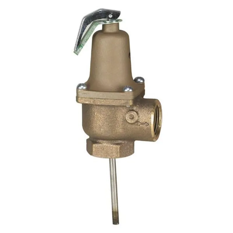 Watts Regulator Co. W-0256651 Power Replacement MPN