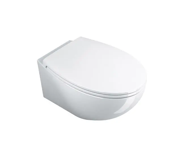 Ceramica Catalano 1VSVL00 Toilet 1VSVL00 White Wall-Hung Velis