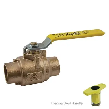 Apollo 77C20411A Valve