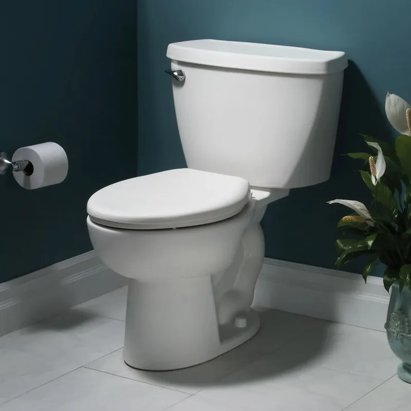 AS America Inc 2462100.178 Toilet 2462.100.178 Black Elon Cadet Flowise Press Assist