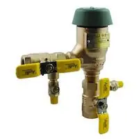 Apollo 4A504A2F Valves
