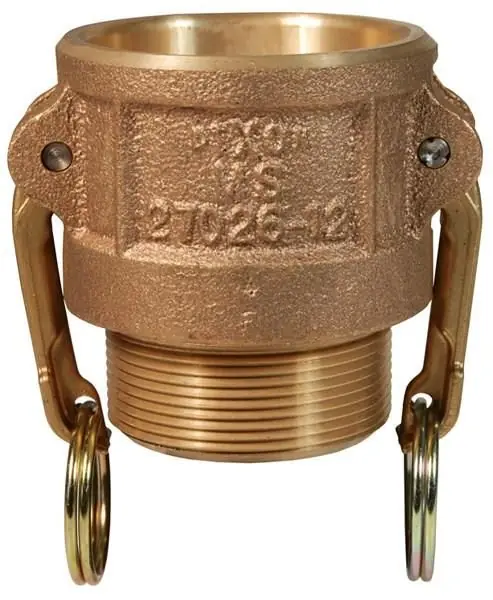 Dixon 200-B-BR Adapter 2 Male Brass