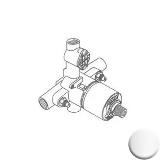 Porcher RP116SS Rough-In 1/2'NPT