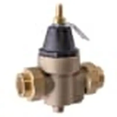Watts Regulator Co. W-0009479