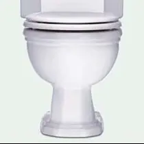 Porcher 40050-00.001 Bowl 1.6 GPF Use