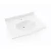 Swan EV02237.010 Vanity Top 22-1/2X37