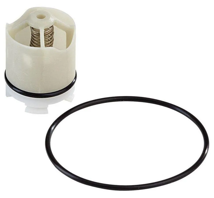 Watts 0887291 Series RK-009 1/4 - 1/2 in. Check Bronze Valve Repair Kit